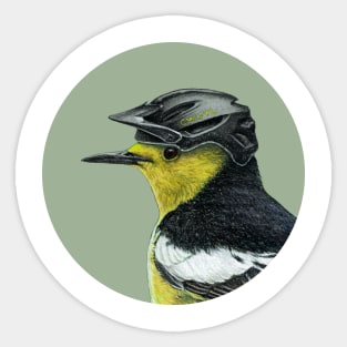 Citrine wagtail Sticker